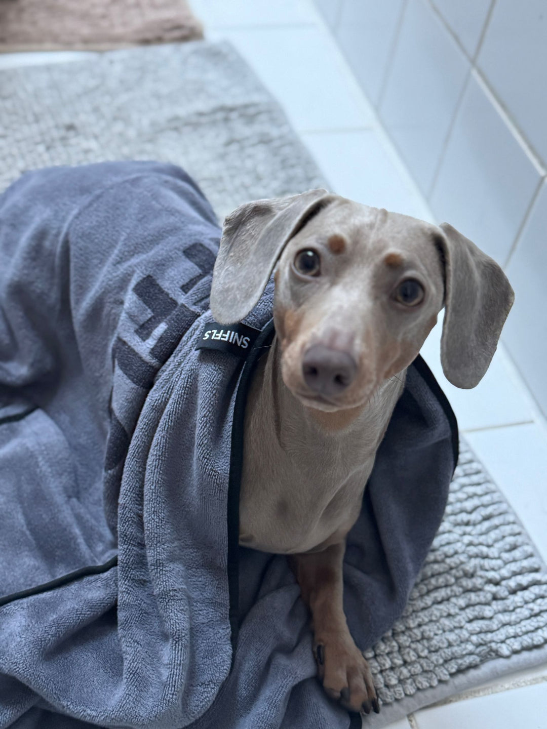 SNIFFLS® Hundehandtuch (2er-Pack)