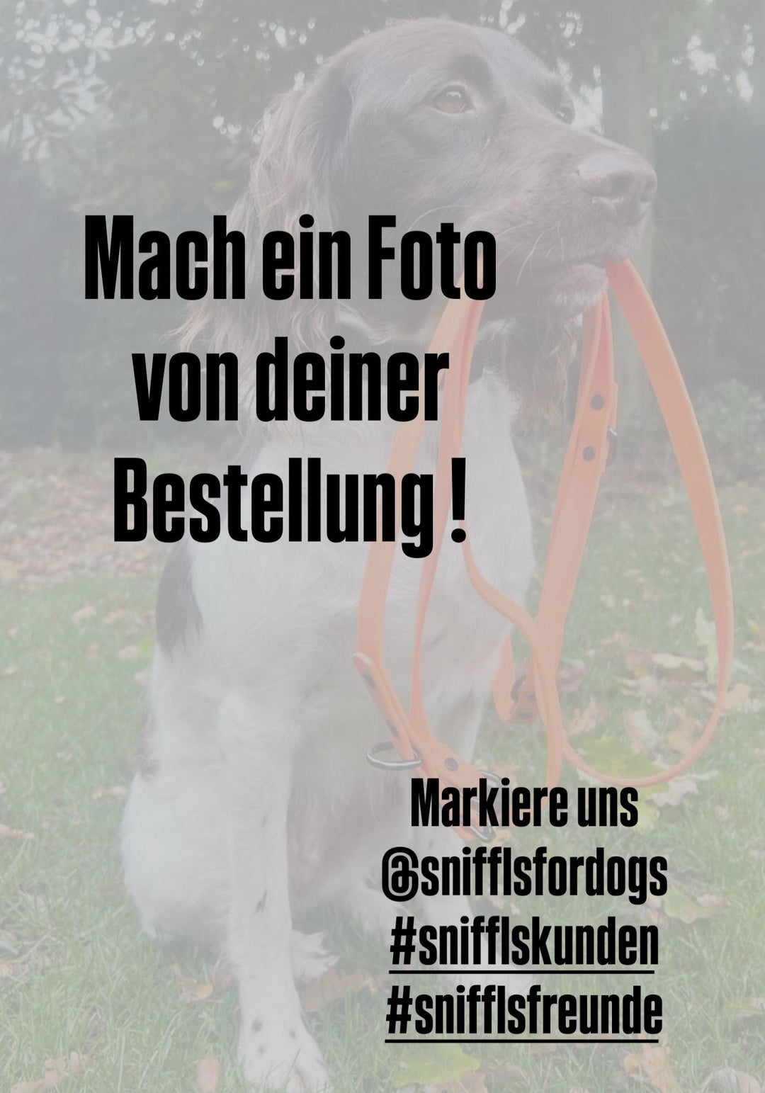 SNIFFLS® Hundehandtuch (2er-Pack)