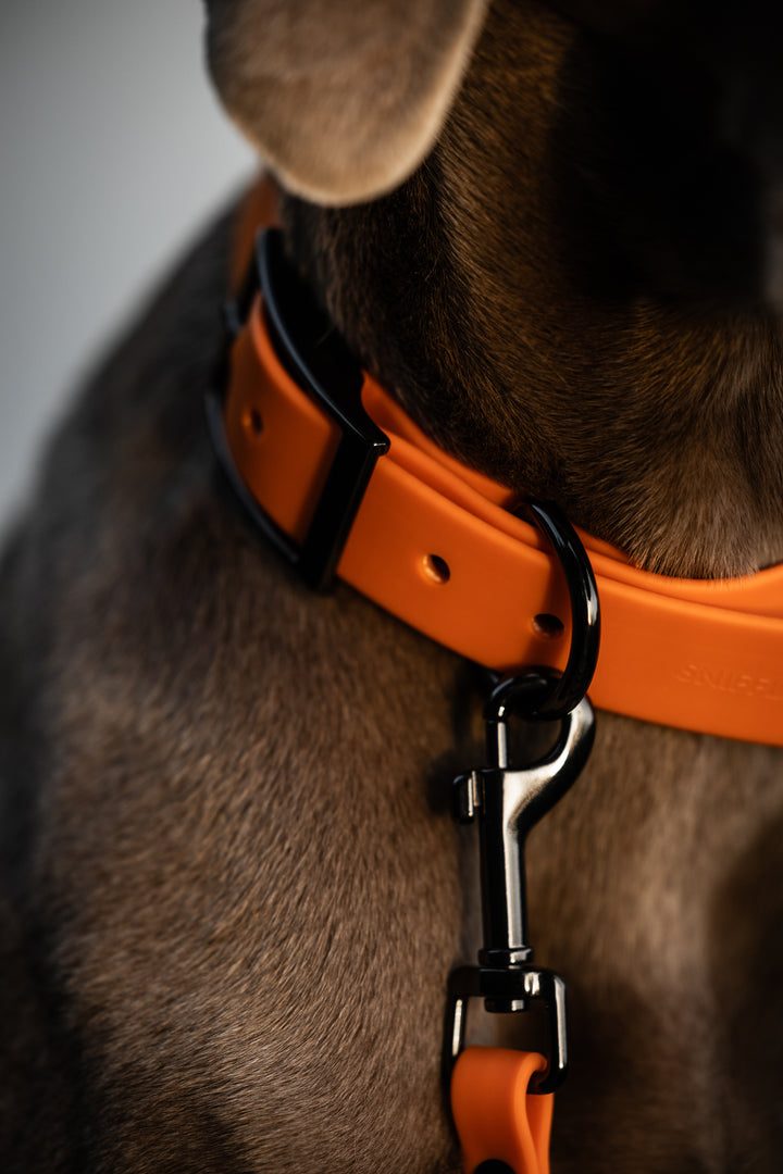 SNIFFLS® Hundehalsband