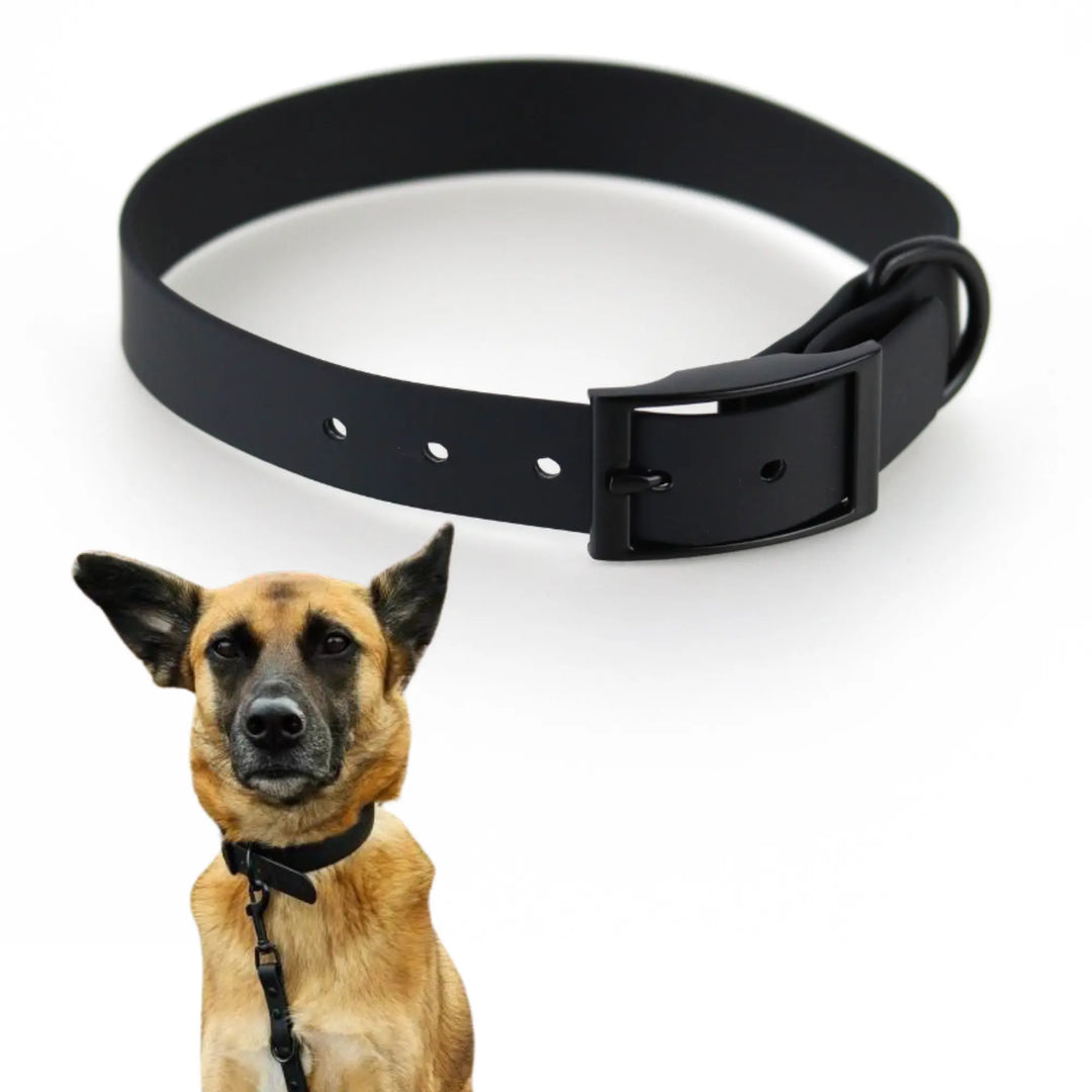 SNIFFLS® Hundehalsband