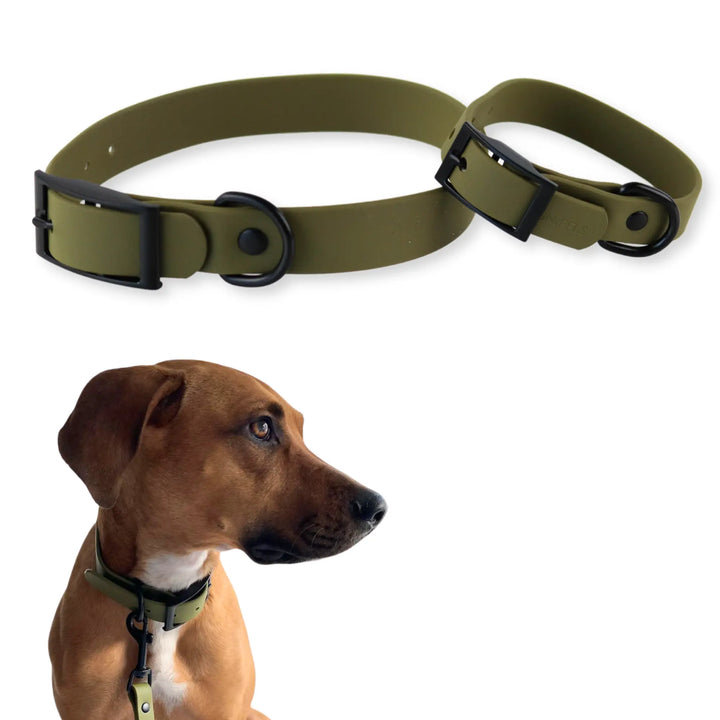 SNIFFLS® Hundehalsband