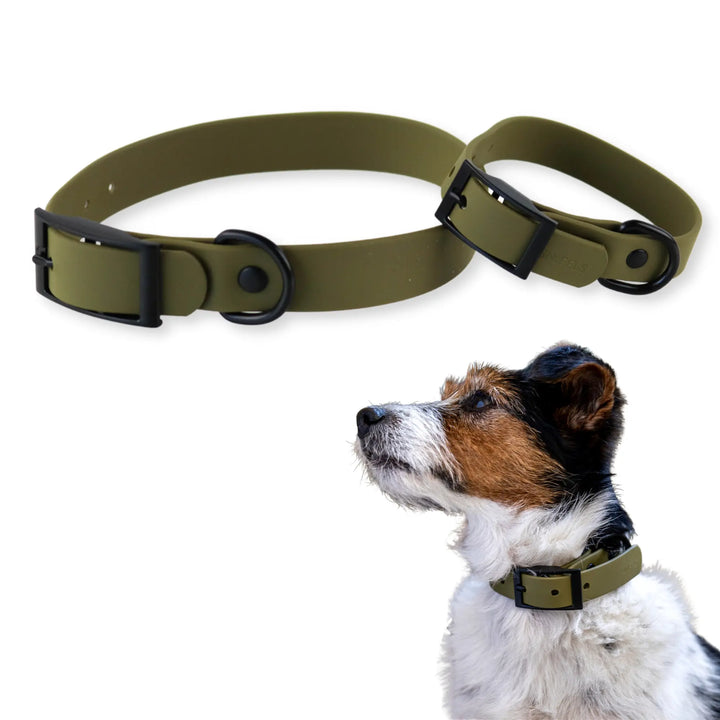 SNIFFLS® Hundehalsband