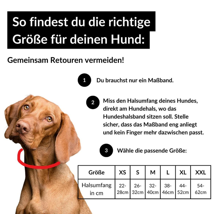 hundehalsband set