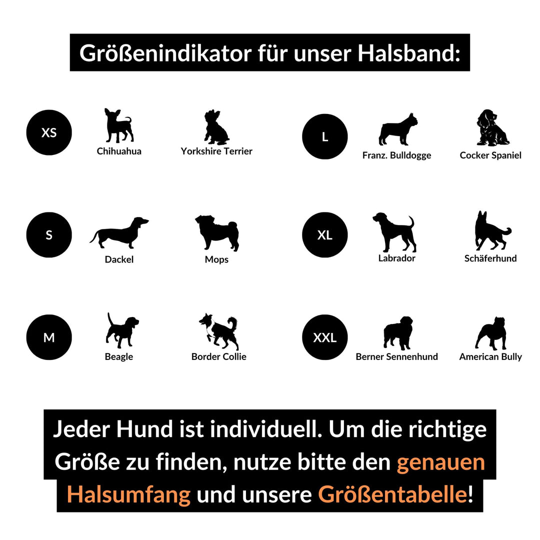 hundehalsband